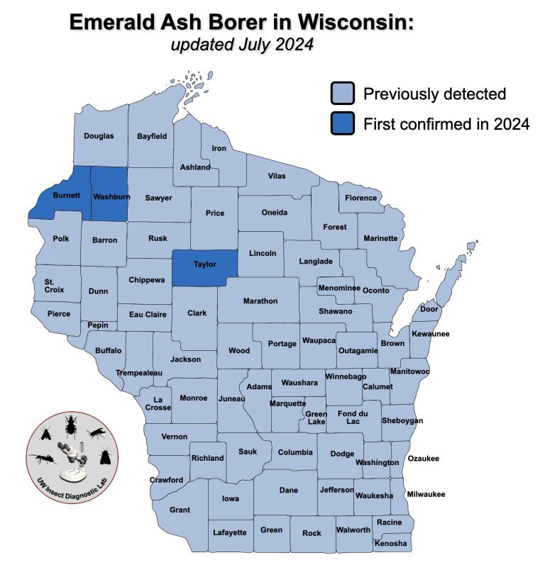 Wisconsin Bug Infestation Wisconsin Invasive Insect Maps - Insect Diagnostic Lab