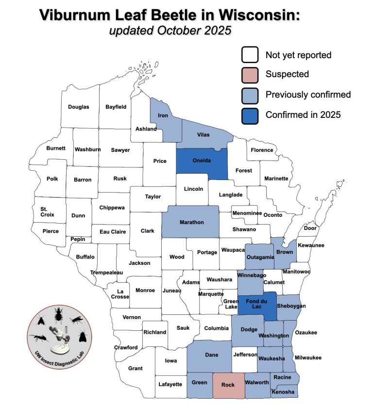 Bugs In Wisconsin Wisconsin Invasive Insect Maps - Insect Diagnostic Lab